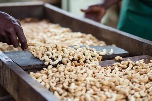 quy-trinh-san-xuat-hat-dieu