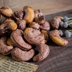 Quy trình sơ chế và bảo quản điều sau thu hoạch