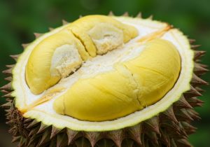 bao-quan-sau-rieng-1