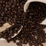 Cà phê Liberica là gì? Hương vị và cây trồng có những điểm gì khác?