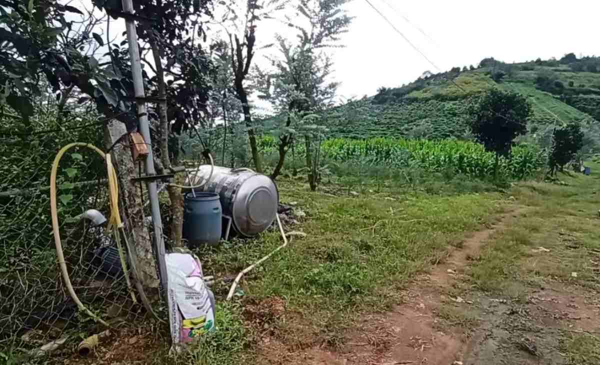 Nước tưới cây cà phê