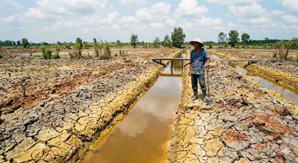 Đất phèn
